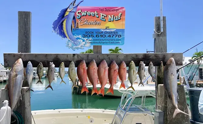 Sweet E’nuf Fishing Charters