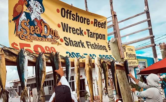 Sea Dog Charters