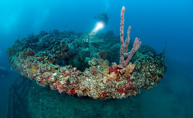 Thunderbolt Wreck (85-120 ft)