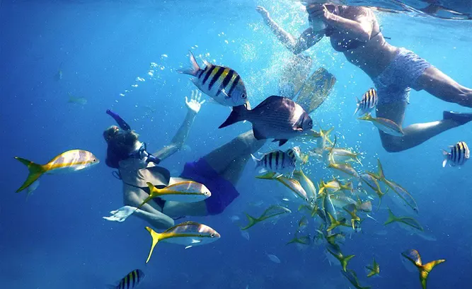 Sombrero Reef (20-35 ft)