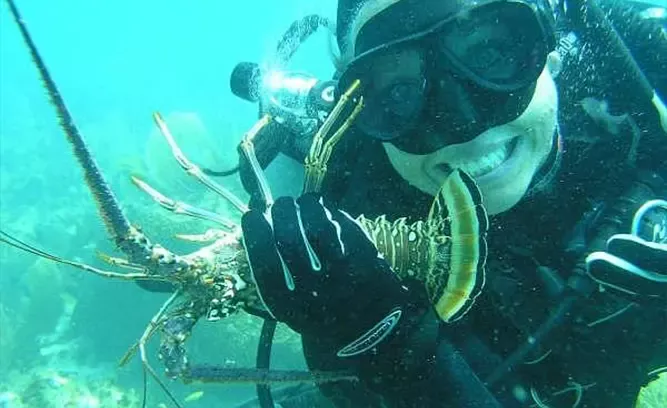 Dive Duck Key