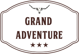 logo-image